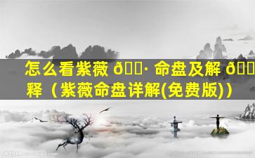 怎么看紫薇 🌷 命盘及解 🌲 释（紫薇命盘详解(免费版)）